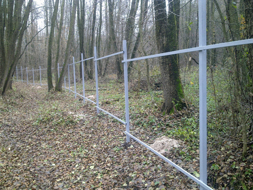 Забор в лесу